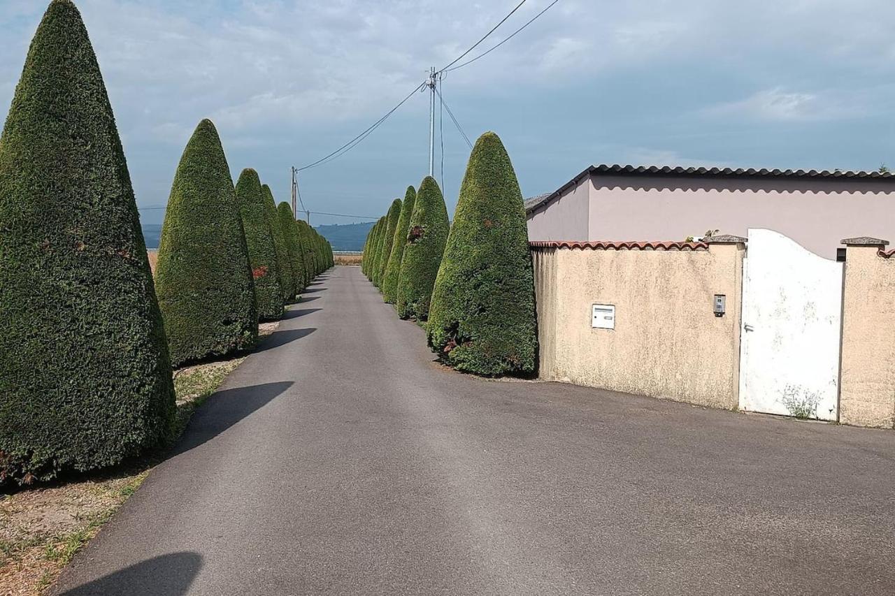 Charmante Maison Avec Piscine Anneyron Экстерьер фото